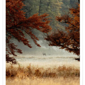 Kunstfotografie Beispiel 4